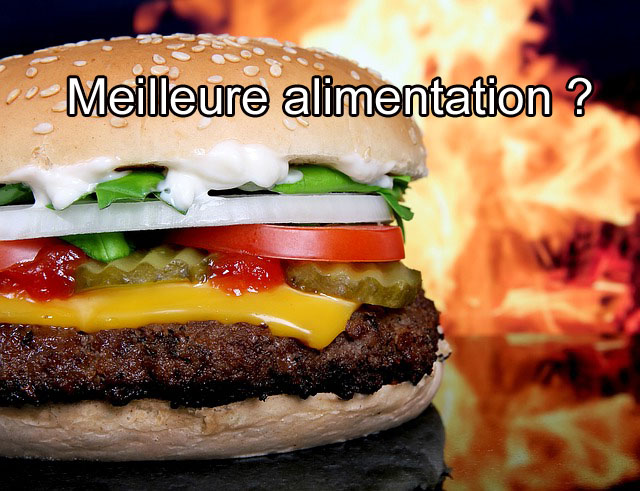 La meilleure alimentation pour perdre du bide ?