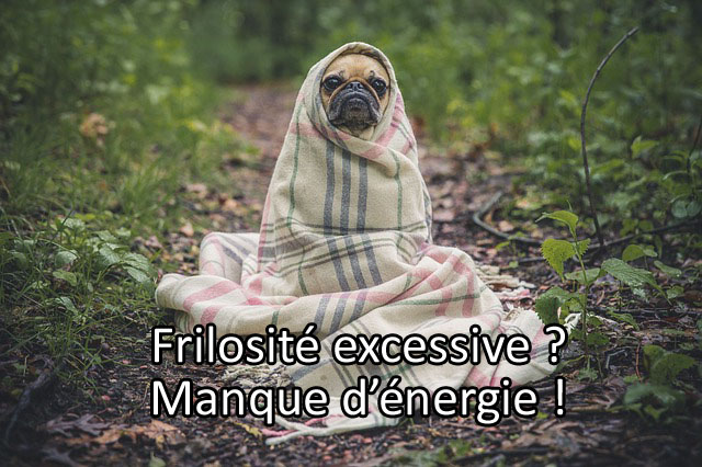 Comment être moins frileuse et frileux quand on a toujours froid ?