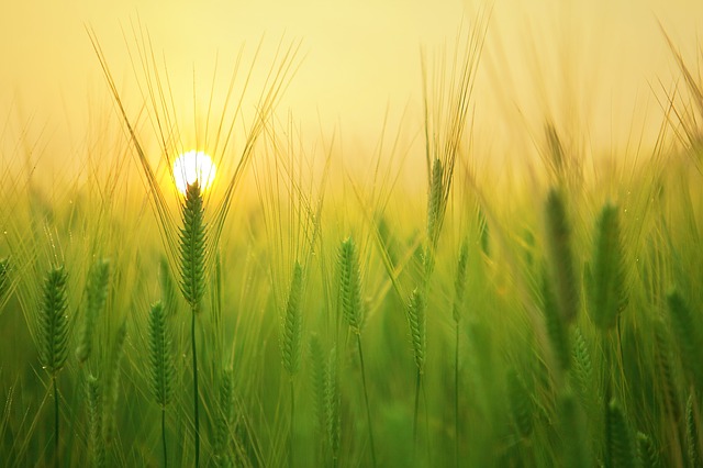 Comment libérer ses émotions et la somatisation ?