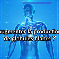 Comment augmenter sa production de globules blancs ?