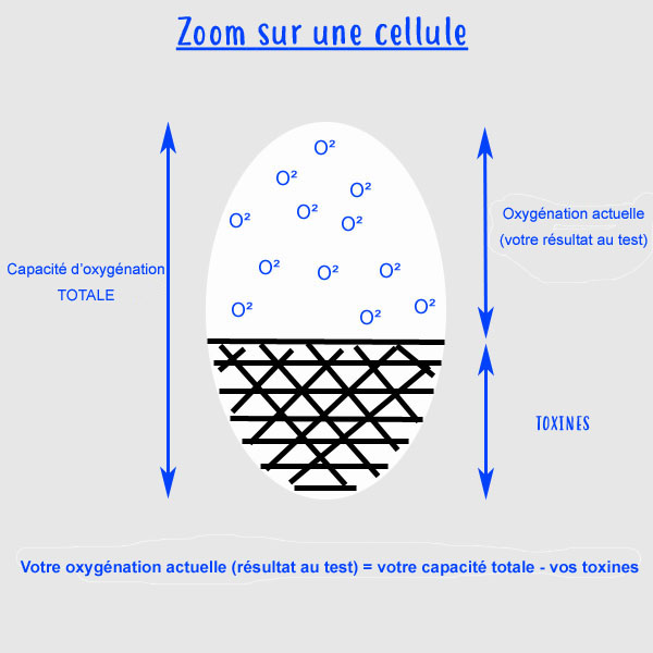 Oxygénation cellulaire